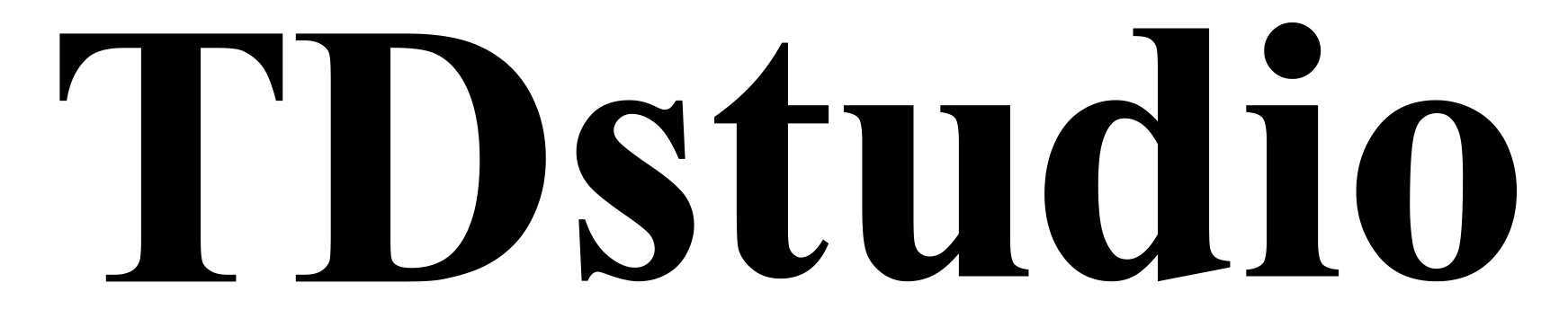 TDstudio logo